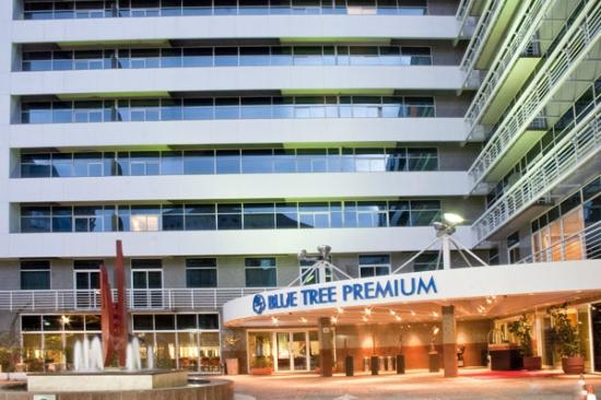 blue-tree-premium-verbo
